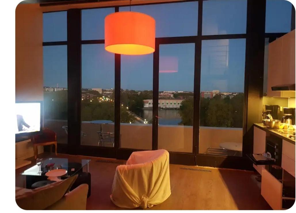 Loft Vue Fleuve Garonne Parking Gratuit Apartment