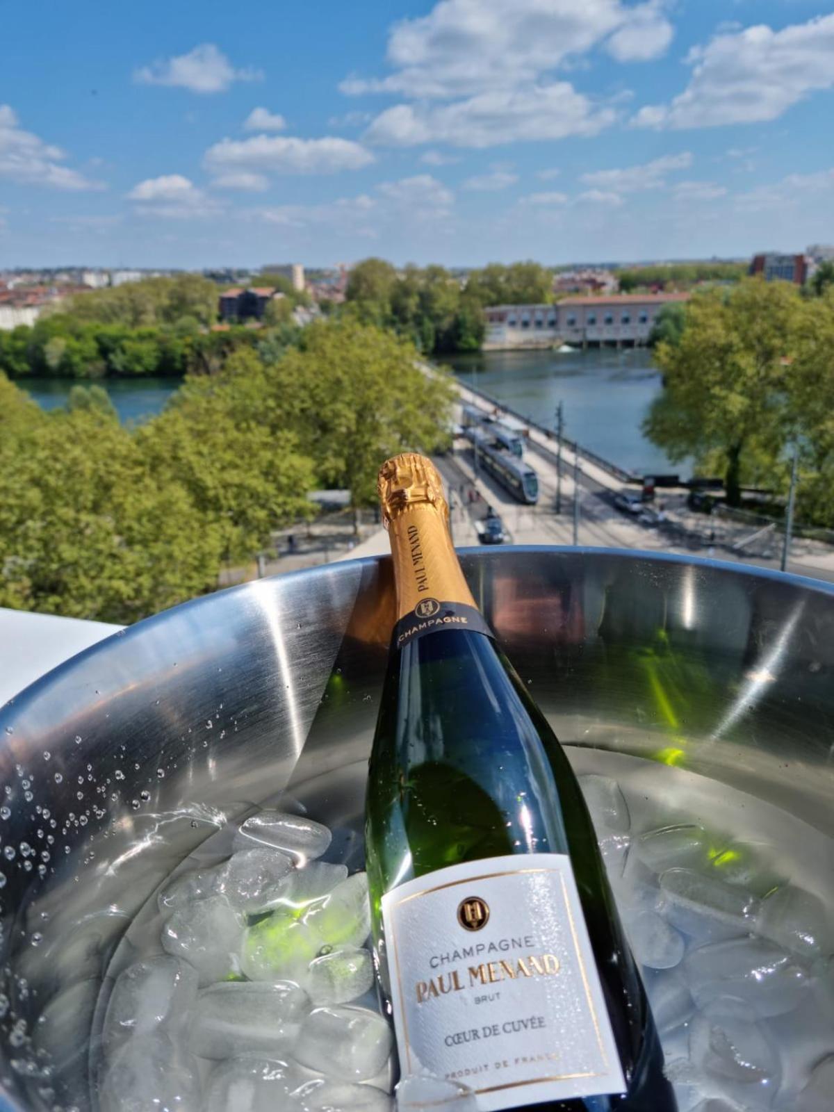 Apartment Loft Vue Fleuve Garonne Parking Gratuit Toulouse